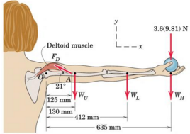 326_Determine the force exerted by the deltoid muscle.png